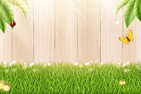 Garden grass and fence background in 3d illustrationのイラスト素材