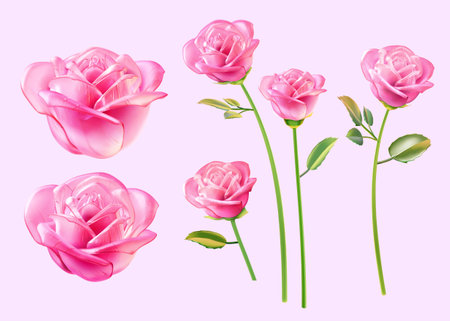 3D illustration of blooming rose glass flower, green stem with flowers and leaves isolated on light pink background.のイラスト素材
