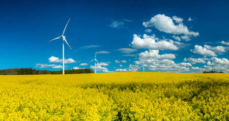 Rural landscape with turbine renewable green energy generating clean and ecological electricity. Windmill for electric power production. Wind turbines generating electricity. Renewable energy concept.の写真素材