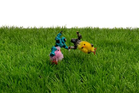 Decorative figurines riding easter chickens on plastic grass, isolated on white background.の写真素材