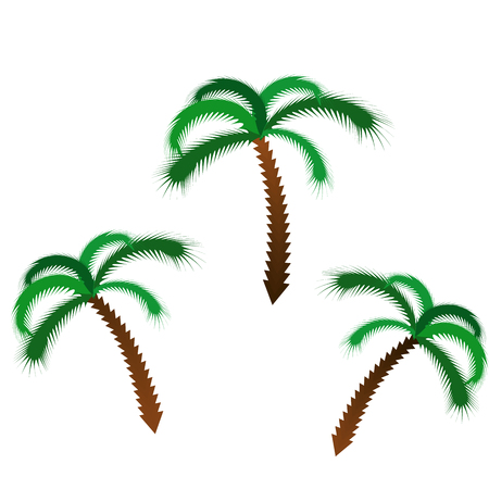palm tree.のイラスト素材