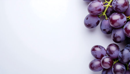 Stems showing ripe purple grapes with green stems on a white background keywords: grapes, purple...の素材