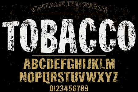 Font alphabet Script Typeface handcrafted handwritten vectorのイラスト素材