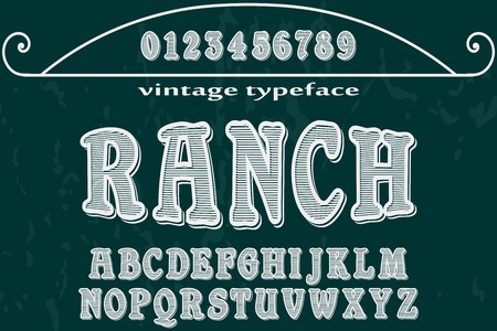Vintage Font handcrafted vector script alphabet, designのイラスト素材