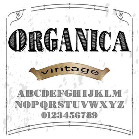 Font alphabet Script Typeface handcrafted handwritten vectorのイラスト素材