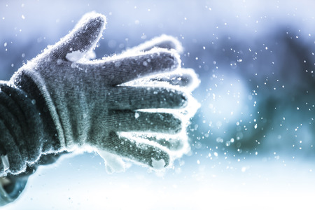 Playful Winterの写真素材