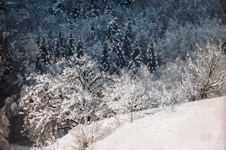 Winter landscapeの写真素材