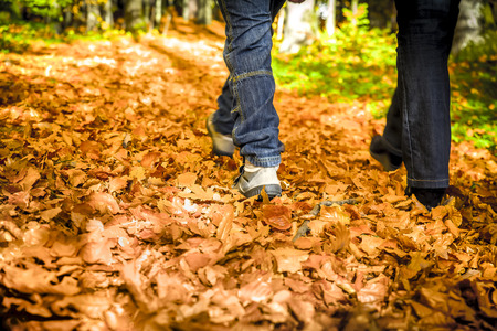 Autumn Walk in the woodsの写真素材