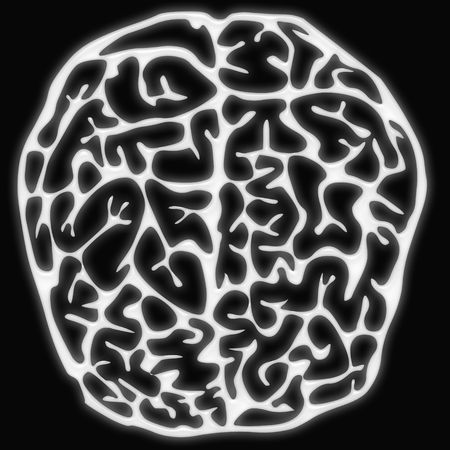  the human brain isolated on blackの写真素材