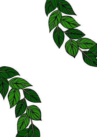 Handwritten leaf background, material that can be used for framesの写真素材