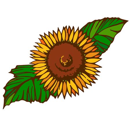 Parts material designed with sunflower motifの写真素材
