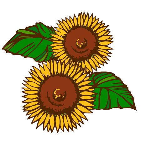 Parts material designed with sunflower motifの写真素材