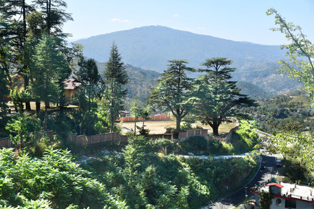 View from the top of the mountain to the valley and the forest