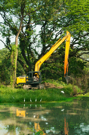 Destruction of forest, deforestation and damaging environmentのeditorial素材