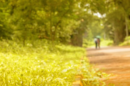 Romantic couple walking and faded away in nature, conceptual stock image, Kolkata, West Bengal,...