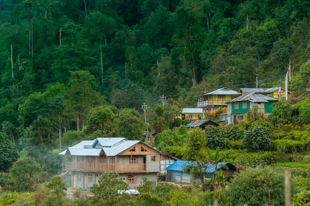 Houses with flowers and plants, Silerygaon Village, Sikkimの写真素材