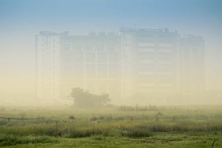 Winter morning in Kolkata, fog over a green field - misty landscape with moody subtle colours. Blurred view of highrises in the bakground.の写真素材
