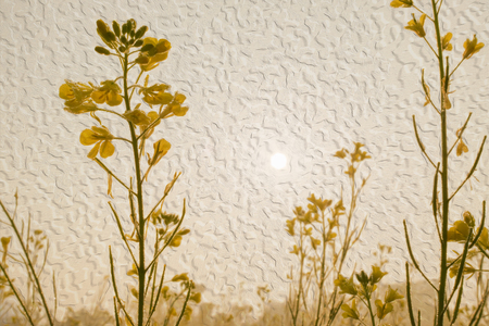 Winter morning - dew drops on mustard plants and sun rising in the background. Oil paint image.の写真素材