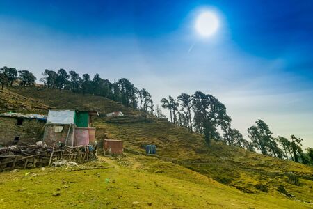 Sun shining on Bugyals, alpine pasture lands, or meadows, in higher elevation range of Himalayas in...