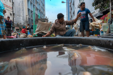 Kolkata, West Bengal, India - 16th December 2018 : Alive fishes for sale. Young man selling them in a fish market in Territy Bazar, Kolkata.のeditorial素材
