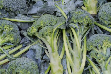 Broccoli , an edible green plant, vegetables for sale in a market in Territy Bazar, Kolkata, West...