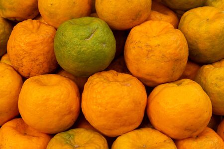 Orange or sweet orange, fruits, family Rutaceae, are displayed for sale at New Market area, Kolkata, India.の写真素材