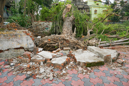 Howrah, West Bengal, India - 23rd May 2020 : Super cyclone Amphan uprooted tree and the force destroyed pavement. Tree fell and blocked pavement. The devastation has made many trees fall on ground.のeditorial素材