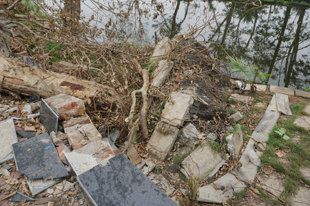 Howrah, West Bengal, India - 23rd May 2020 : Super cyclone Amphan uprooted tree and the force destroyed pavement. Tree fell and blocked pavement. The devastation has made many trees fall on ground.のeditorial素材