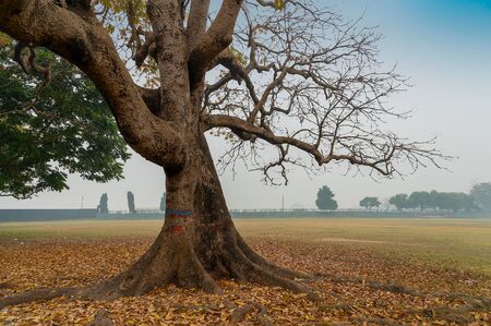 Deserted look  Kolkata Maidan under lockdown due to  . Kolkata is the capital city  West Bengal,...