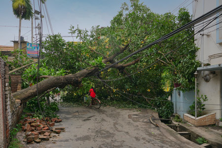 Howrah, West Bengal, India - 21st May 2020 : Super cyclone Amphan uprooted tree which fell and...