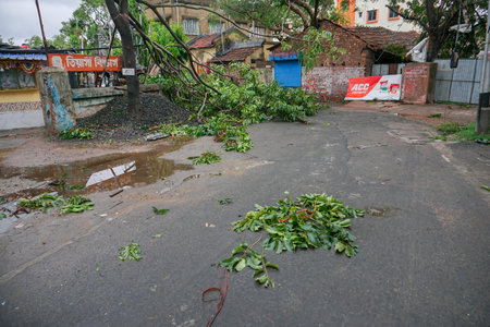 Howrah, West Bengal, India - 21st May 2020 : Super cyclone Amphan uprooted tree which fell and blocked road. The devastation has made many trees fall on ground.のeditorial素材