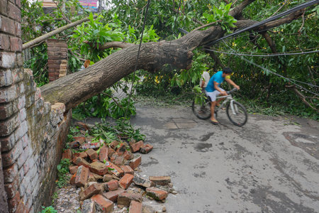 Howrah, West Bengal, India - 21st May 2020 : Super cyclone Amphan uprooted tree which fell and...