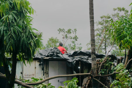 Howrah, West Bengal, India - 21st May 2020 : Super cyclone Amphan uprooted tree which fell on roof and severly damaged it. A desparate man is trying to repair the roof top.のeditorial素材