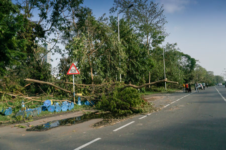 Kolkata, West Bengal, India - 22nd May 2020 : Super cyclone Amphan uprooted tree which fell and...