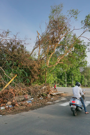 Kolkata, West Bengal, India - 28th May 2020 : Super cyclone Amphan uprooted tree which fell and...