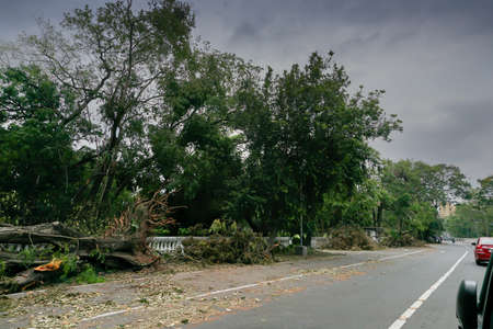 Super cyclone Amphan uprooted tree which fell and blocked road partially. The devastation has made...