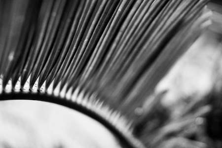 Black and white leaves against dark natural background. Selective focus on nature pattern.の写真素材