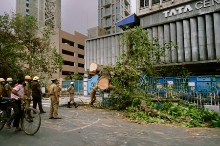 Kolkata, West Bengal, India- 25th May 2020 : Super cyclone Amphan uprooted tree which fell and...