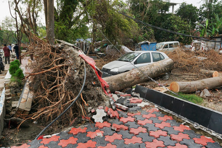 Howrah, West Bengal, India - 31st May 2020 : Super cyclone Amphan uprooted tree and the force raised the pavement. Tree fell and blocked pavement. The devastation has made many trees fall on ground.のeditorial素材