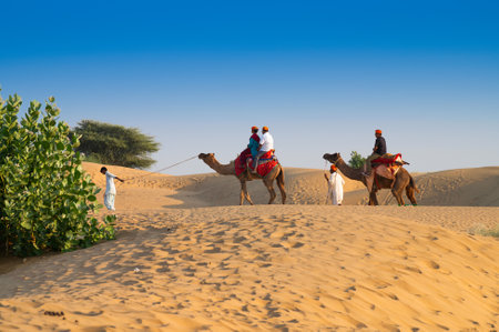 Tourists riding camels, Camelus dromedarius, at sand dunes of Thar desert. Camel riding is a favourite activity amongst all tourists visiting here.のeditorial素材
