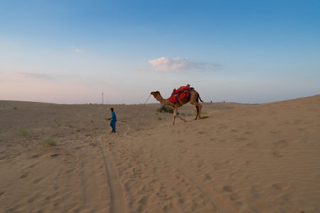 Thar desert, Rajasthan,India - 15th October 2019 : Young cameleer taking back his camel, Camelus dromedarius after tourist rides at dusk in sand dunes. Camel riding is a popular activity for tourists.のeditorial素材