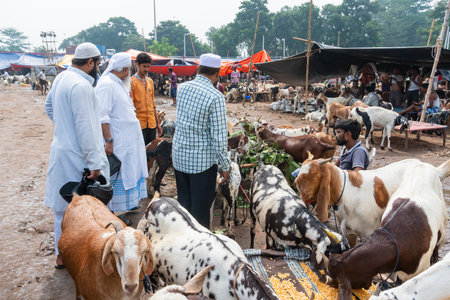 Kolkata,West Bengal, India - 11th August 2019: Price being negotiated for goats during Eid al-Adha...