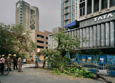 Kolkata, West Bengal, India- 25th May 2020 : Super cyclone Amphan uprooted tree which fell and blocked pavement in front of Tata Centre. Officials trying to cut the fallen tree and clear the pavement.のeditorial素材