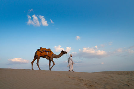 Thar desert, Rajasthan, India - 15th October 2019 : Old cameleer taking back his camel, Camelus dromedarius after tourist rides at dusk in sand dunes. Camel riding is a popular activity for tourists.のeditorial素材