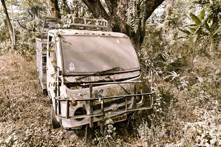 Howrah, West Bengal, India - 15th March 2021 : Old truck left to rust amidst nature. Sepia color.のeditorial素材