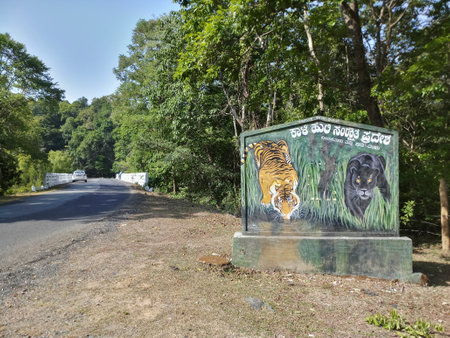 A tiger, Panthera tigris, and a black panther, black-coated version of leopard, Panthera pardus, or jaguar, Panthera onca, on the sign board at Karnataka tiger reserve, Karnataka, India.の写真素材