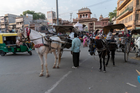 Jodhpur, Rajasthan, India - 20.10.2019 : Horse pulling cart at famous Sardar Market and Ghanta ghar Clock tower in Jodhpur, Rajasthan, India.のeditorial素材