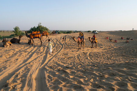 Thar desert, Rajasthan, India - 16.10.2019 : Cameleer taking tourists on camel after watching sun rise. Dromedary, dromedary camel, Arabian camel, or one-humped camels are used for camel riding.のeditorial素材