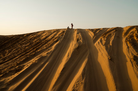 Car tyre marks on sand dunes of Thar desert, Rajasthan, India. Tourists arrive on cars to watch sun rise at desert , a very popular activity amongst travellers.の写真素材