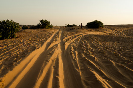 Car tyre marks on sand dunes of Thar desert, Rajasthan, India. Tourists arrive on cars to watch sun rise at desert , a very popular activity amongst travellers.の写真素材